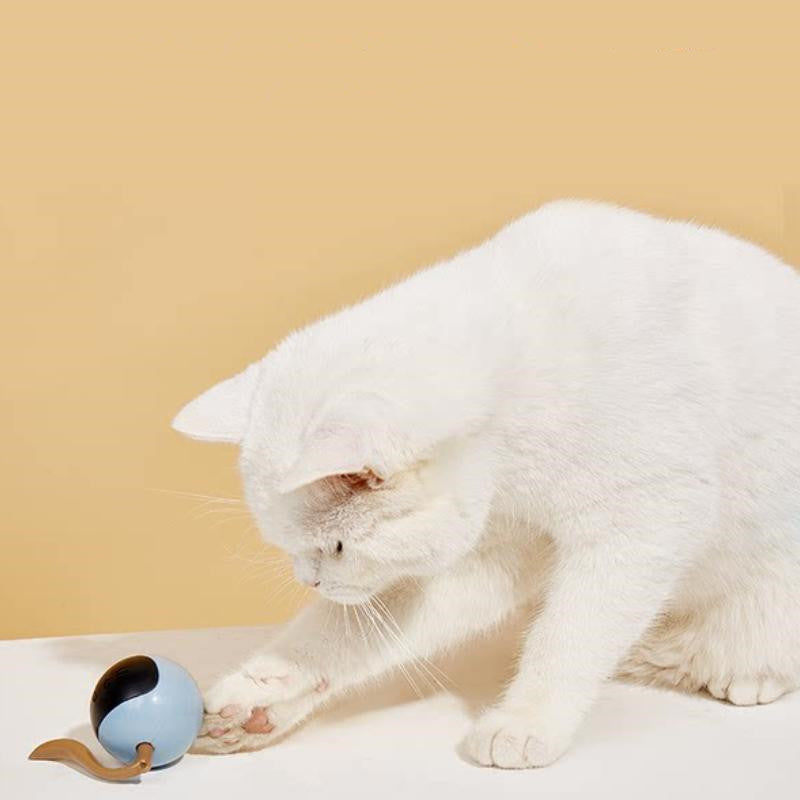 Electric Cat Magic Ball