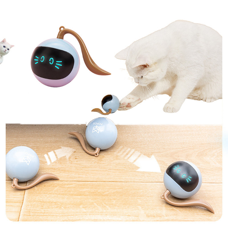Electric Cat Magic Ball