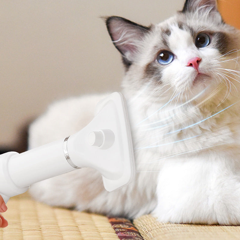 Pet Hair Dryer Comb