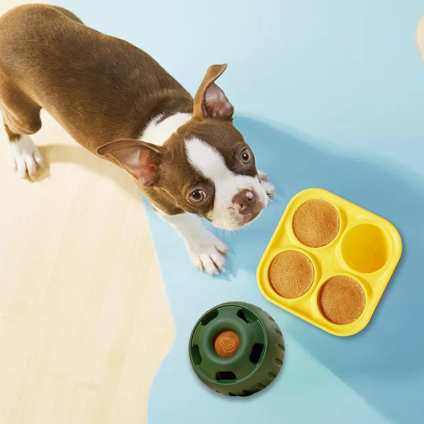 Dog Snack Tray Mold