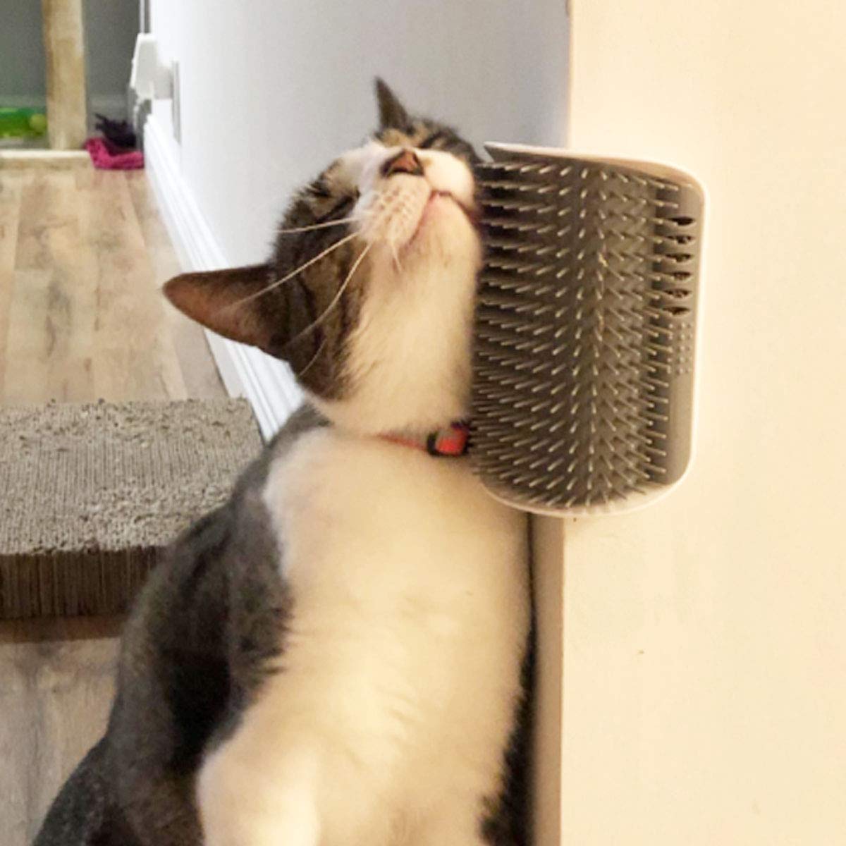Pet Wall Rubbing Brush
