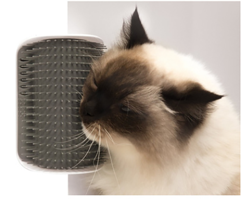 Pet Wall Rubbing Brush