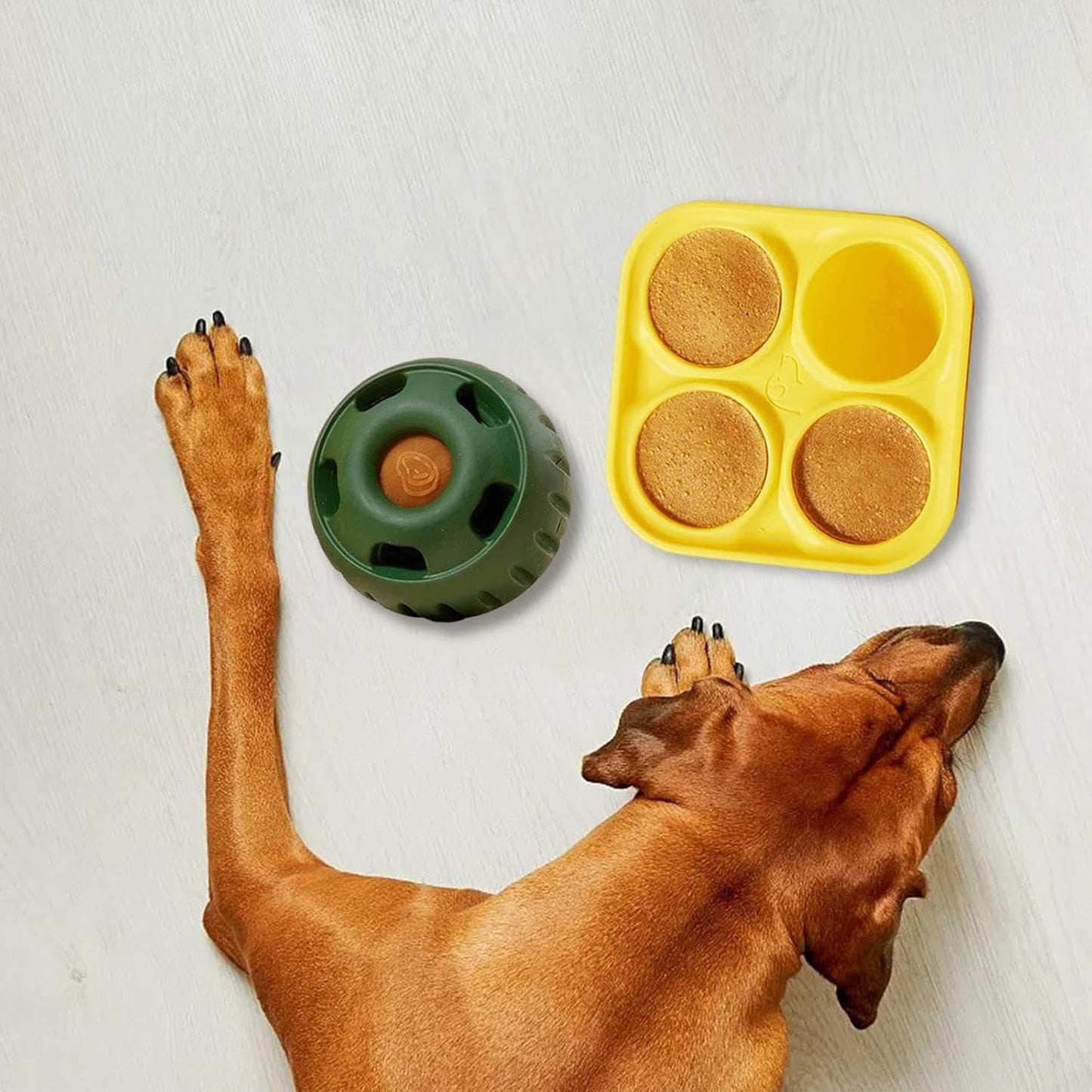 Dog Snack Tray Mold