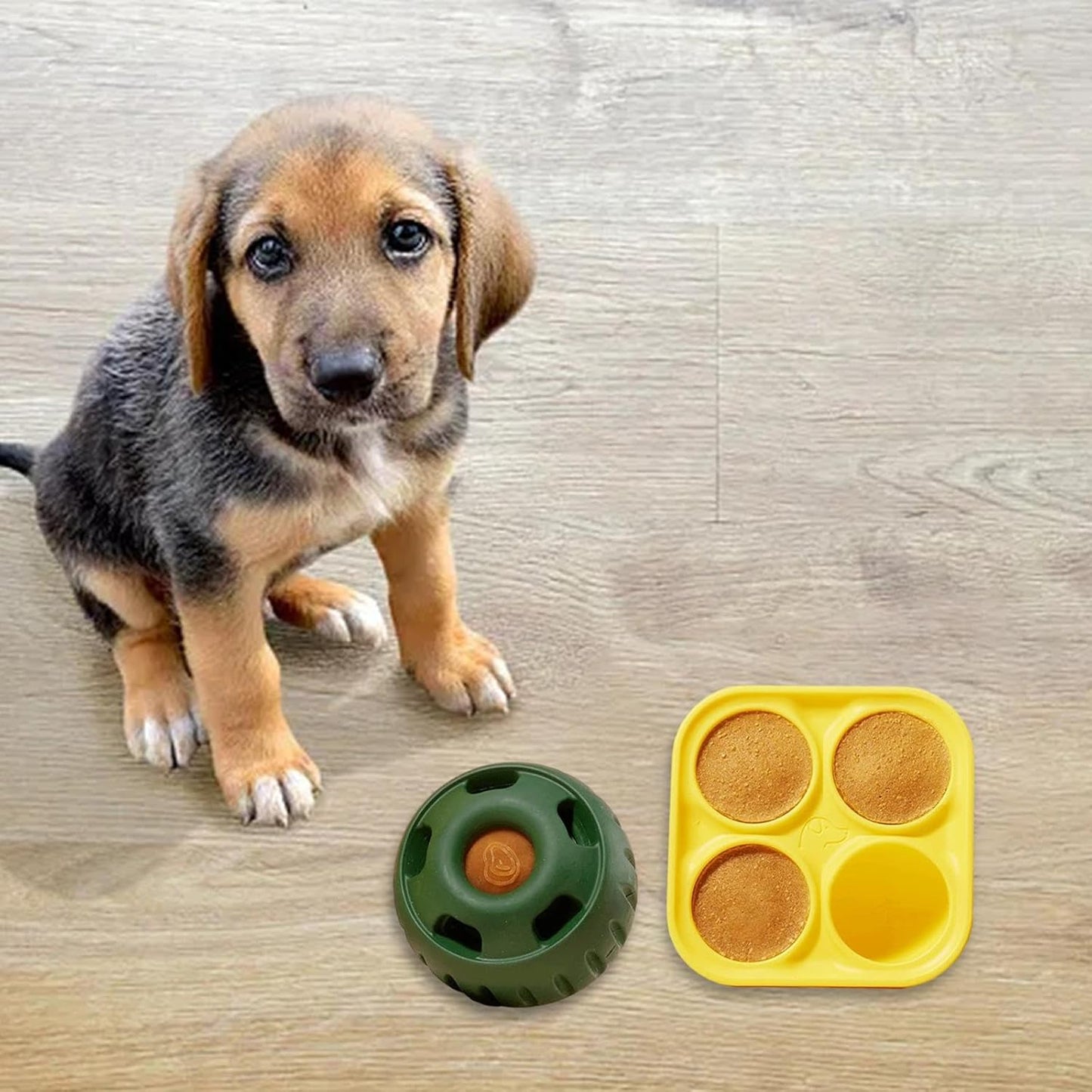 Dog Snack Tray Mold