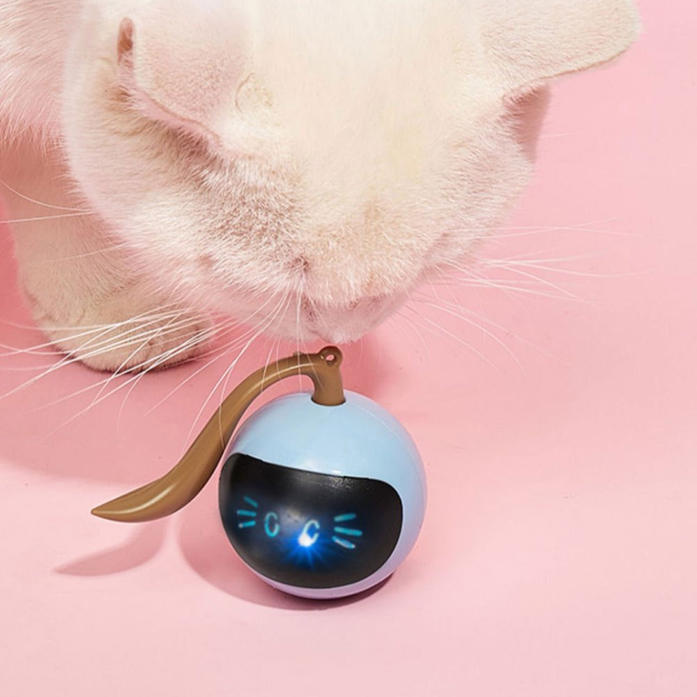 Electric Cat Magic Ball