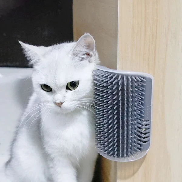 Pet Wall Rubbing Brush