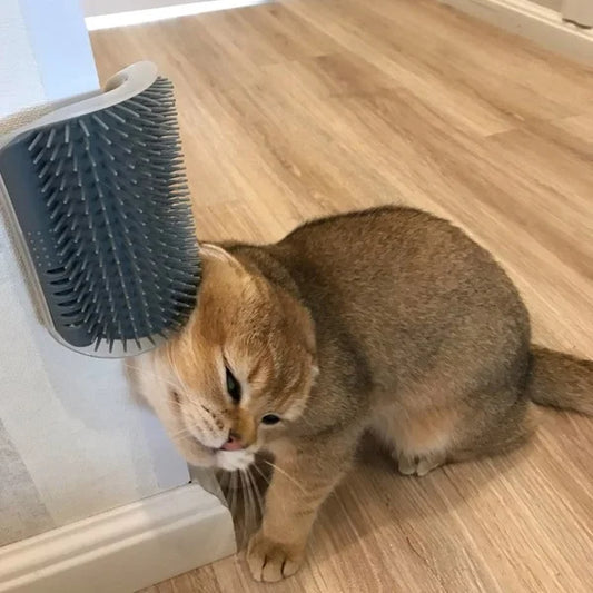 Pet Wall Rubbing Brush